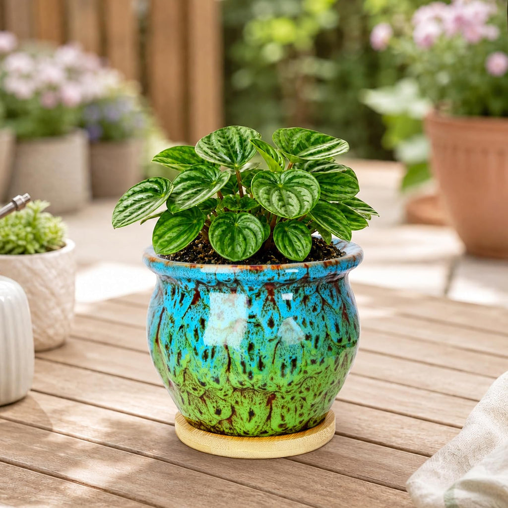 ARTKETTY 4.5 Inch Plant Pots, Small Pots for Plant Indoor, Ceramic Planter with Tray