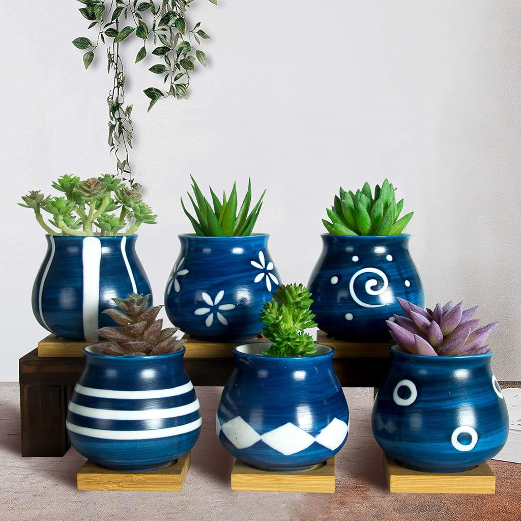 cute little pots for succulents Cute Succulent Pots with Drainage Bamboo Tray 3 inch Succulent Planters