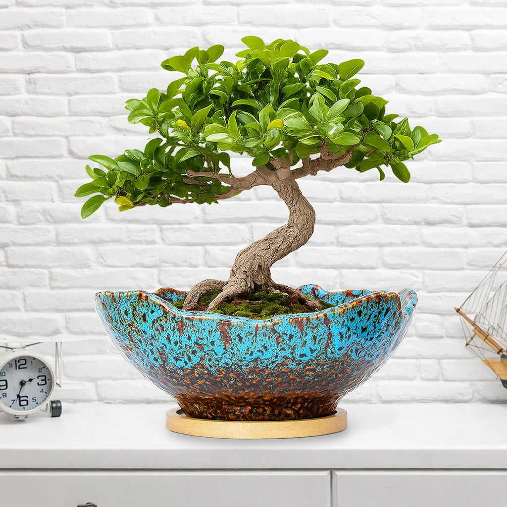 ARTKETTY Bonsai Pots - 9.06 Inch Large Plant Pots, Unique Succulent Pots with Drainage Tray, Ceramic Planters for Indoor Cactus Flower Plants Round Bonsai Tree Pots Decorative Home Office
