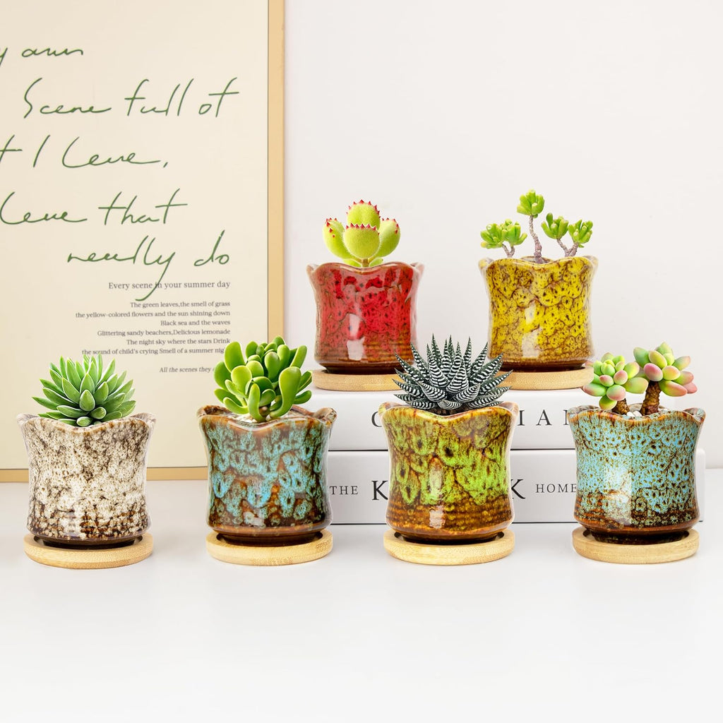 Succulent Pots with Drainage Tray, Cute Ceramic Pots for Plants Set of 6