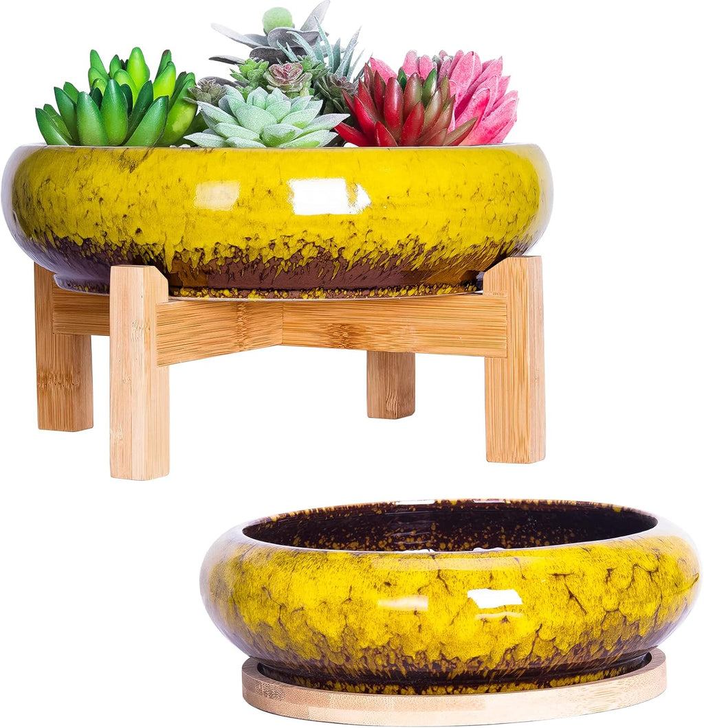 ARTKETTY Succulent Pots - 7.3/10 Inch Large Plant Pot Ceramic Bonsai Planter with Drainage Tray, Shallow Planters for Succulents Cactus Flower Small Plants Birthday Gifts for Women