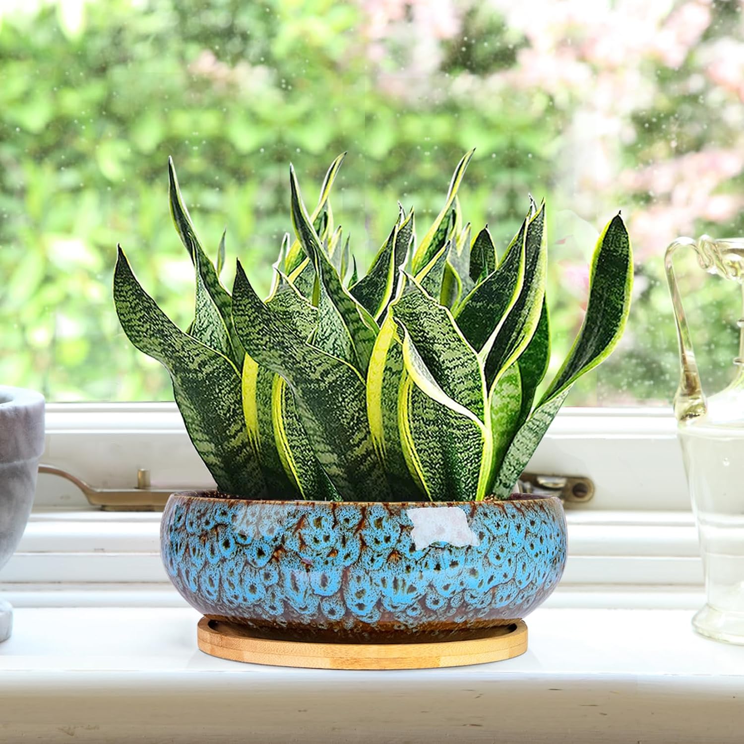 ARTKETTY Succulent Pots, 7.5 Inch Large Plant Pots with Bamboo Tray | Shallow Bonsai Pots with Drainage, Ceramic Planter for Indoor Plants, Cactus, Home Office Desk Decor