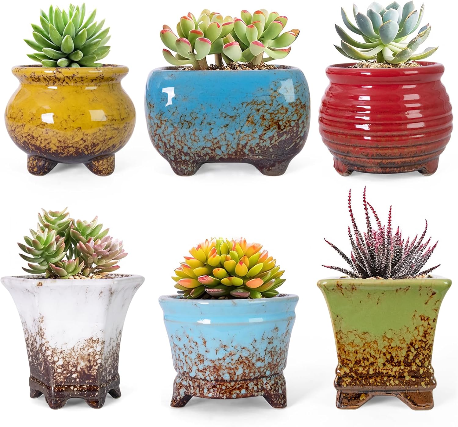 ARTKETTY Succulent Pots - Small Succulent Plant Pot with Drainage Pack of 6, Ceramic Cactus Planter Pots for Indoor Unique Flower Planter Container for Home Office Decor