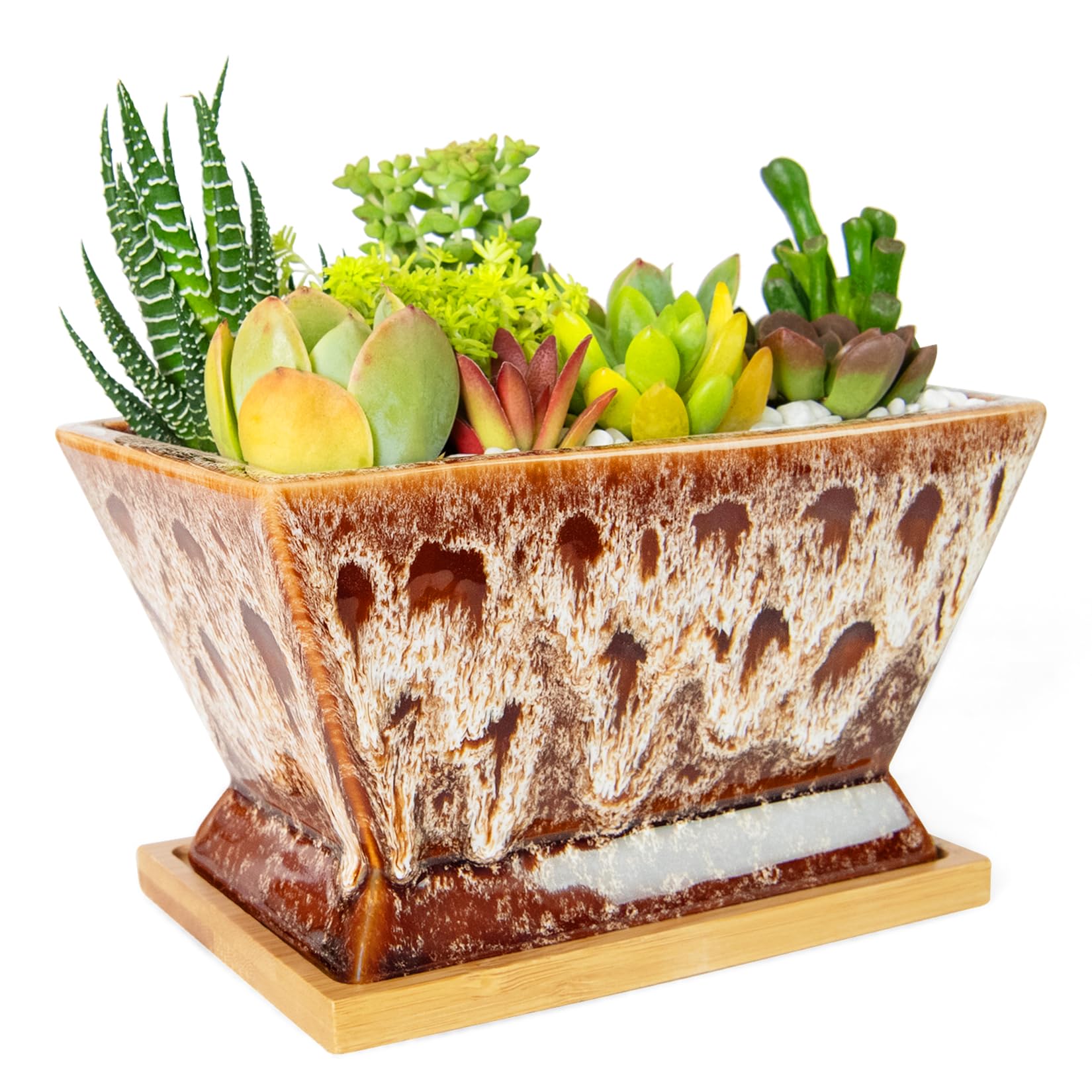 ARTKETTY Succulent Pots - 7 Inch Large Plant Pots with Drainage Tray | Shallow Ceramic Pots for Indoor Plants, Modern Cactus Bonsai Plant Container Decorative Home Office