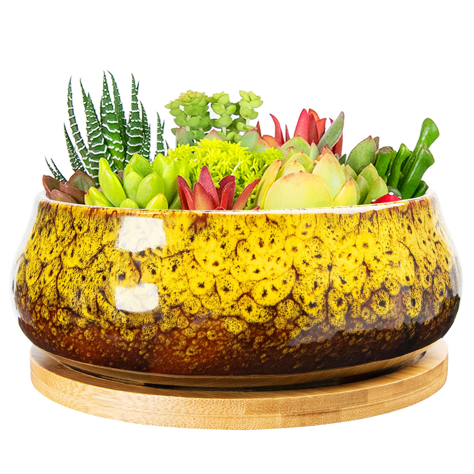 ARTKETTY Succulent Pots - 8 Inch Large Plant Pots, Shallow Planters | Ceramic Bonsai Pots with Drainage Tray, Round Cactus Flower Plant Container Bowl Decorative Home Garden