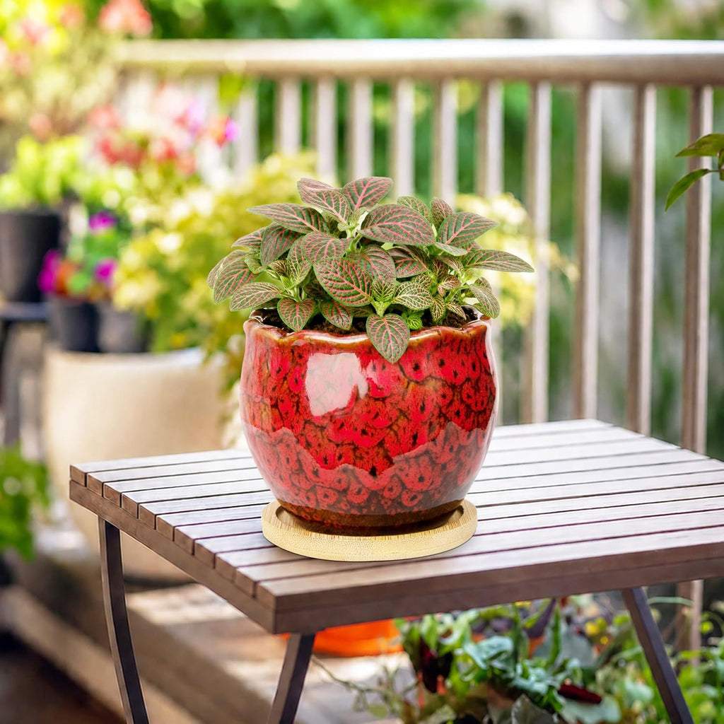 ARTKETTY Succulent Pots, 4 Pack Small Plant Pots with Drainage Tray | 4 Inch Flower Pots, Ceramic Planters for Indoor, Home Office Desk Decor
