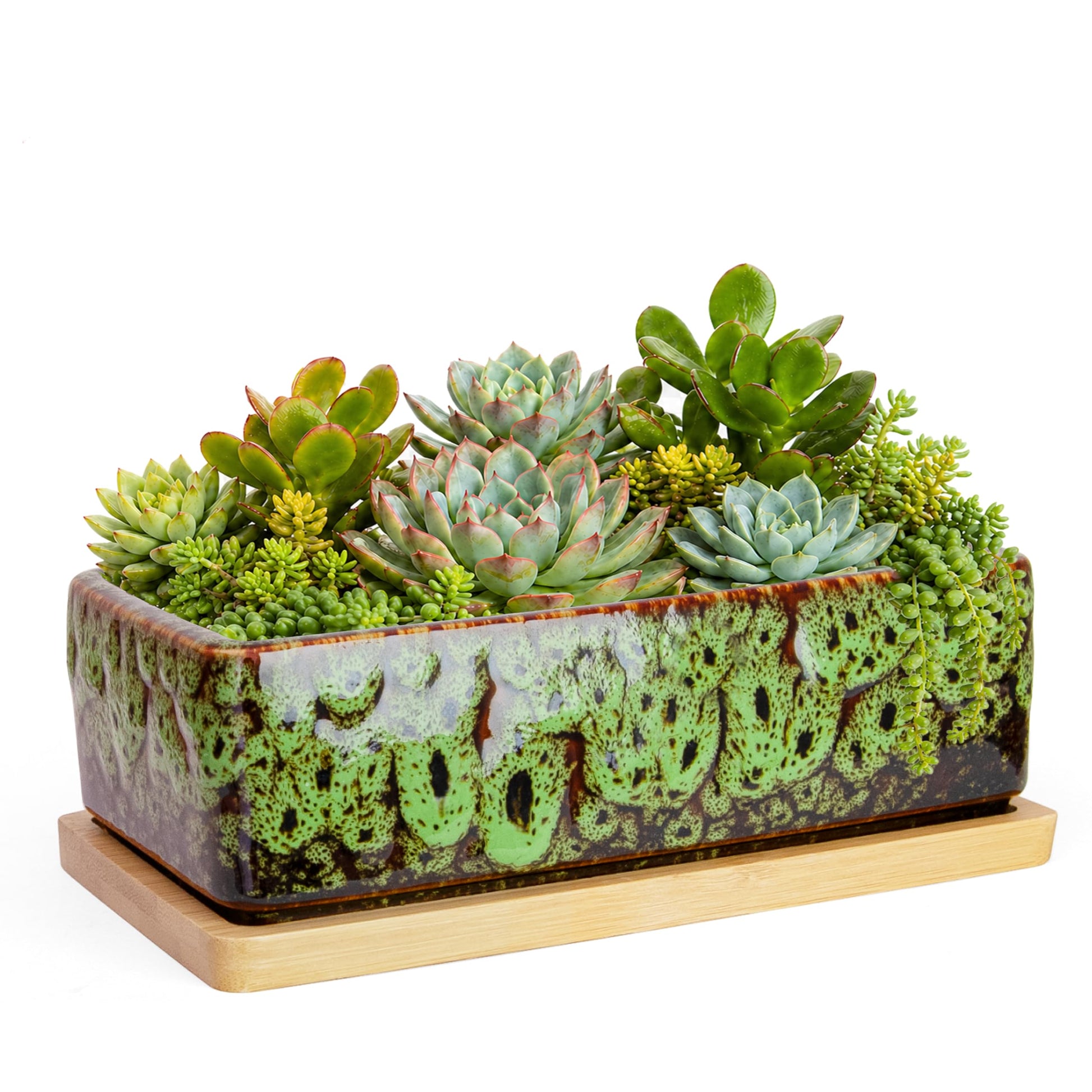 ARTKETTY Succulent Pots - 7 Inch Large Succulent Planters with Drainage Tray, Window Sill Planter, Long Rectangle Ceramic Pots for Indoor Cactus Plants Shallow Bonsai Window Box for Home Garden Decor