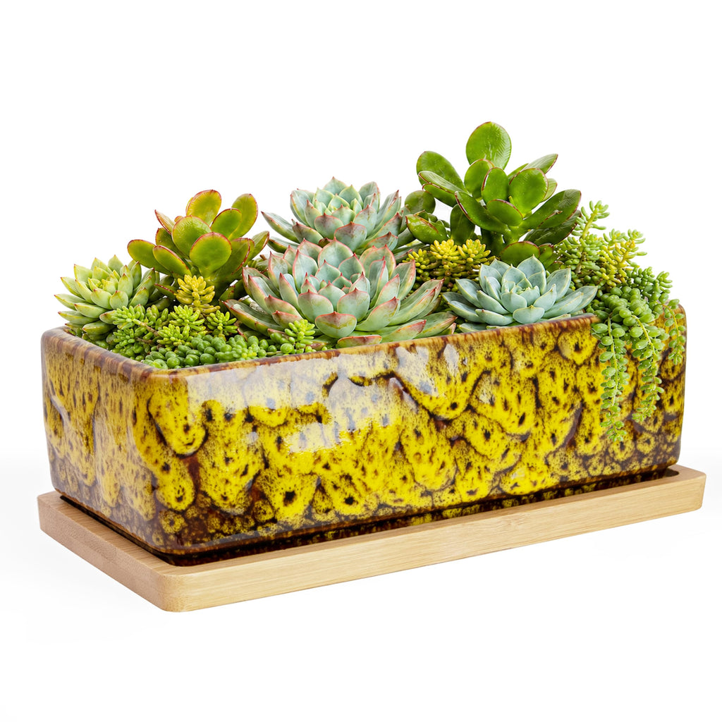 ARTKETTY Succulent Pots - 7 Inch Large Succulent Planters with Drainage Tray, Window Sill Planter, Long Rectangle Ceramic Pots for Indoor Cactus Plants Shallow Bonsai Window Box for Home Garden Decor