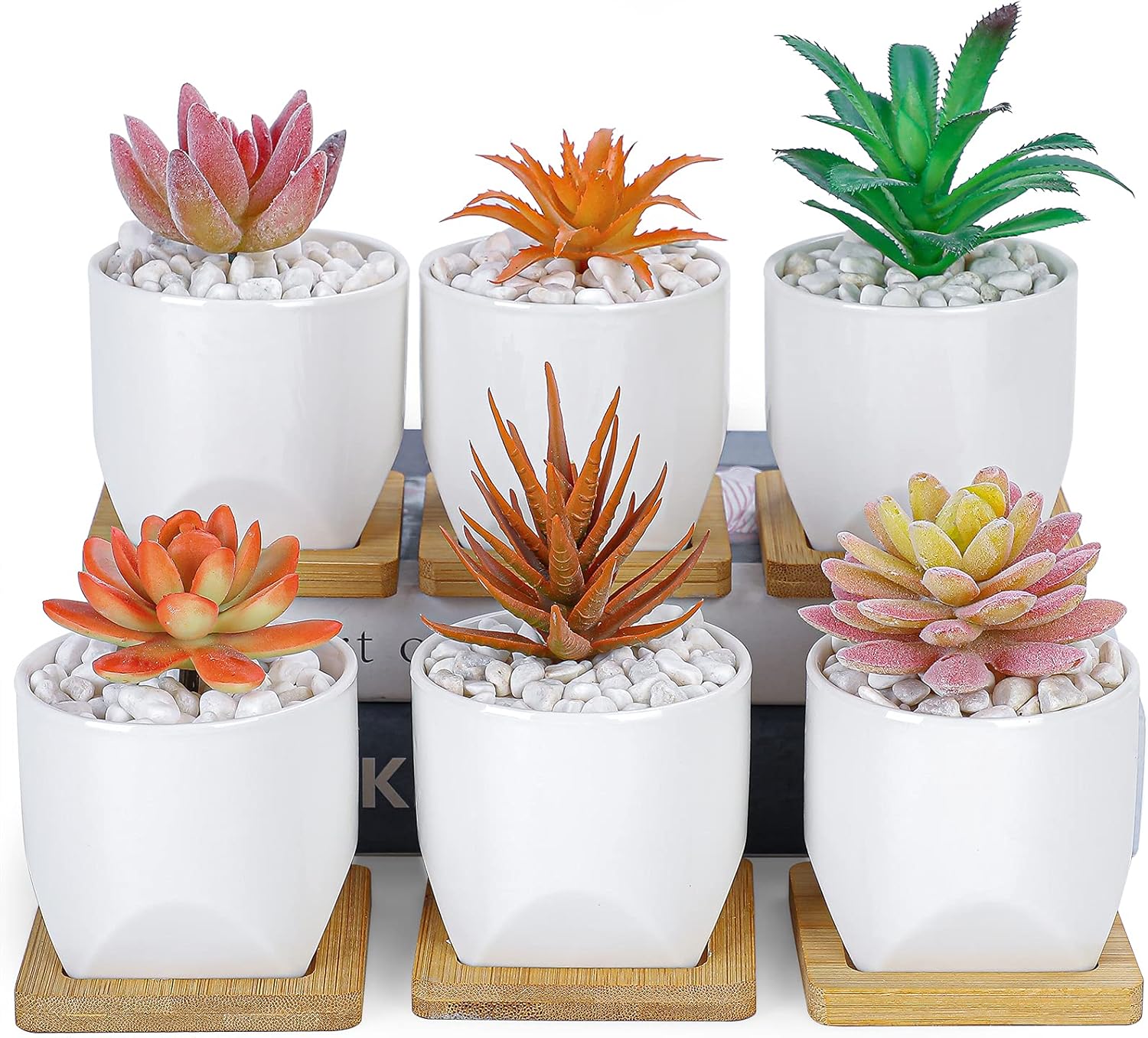 ARTKETTY Succulent Pots - 4 Inch Small Plant Pots with Drainage Trays Set of 6, Ceramic Pots for Indoor Plants White Cactus Flower Planter Container Decorative Garden Home