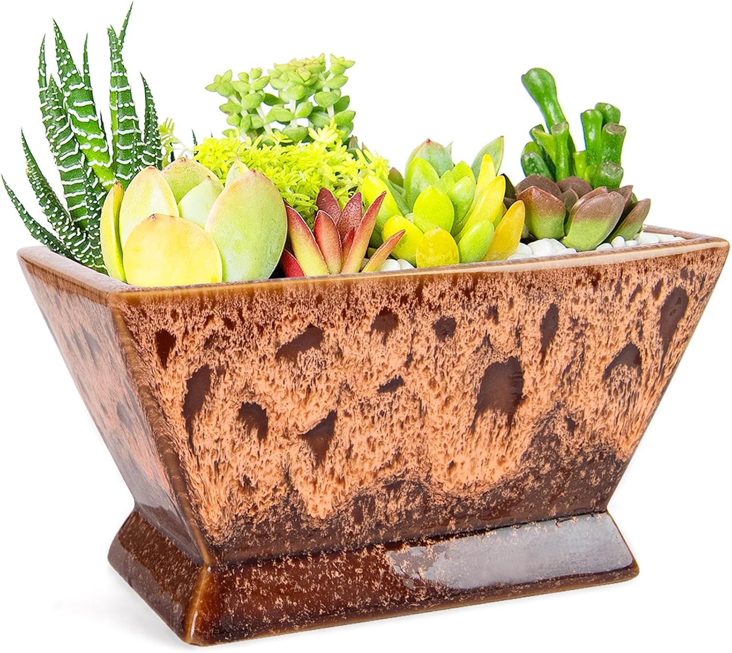 ARTKETTY Succulent Pots - 7 Inch Large Plant Pot with Drainage, Shallow Ceramic Succulent Planters for Indoor Outdoor Plants, Modern Cactus Bonsai Plant Container Decorative Home Office