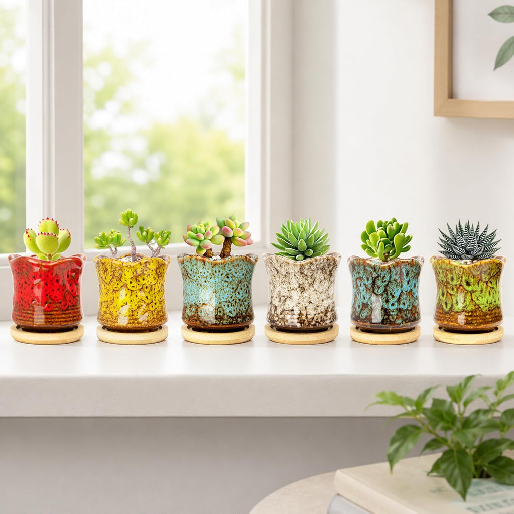 Succulent Pots with Drainage Tray, Cute Ceramic Pots for Plants Set of 6