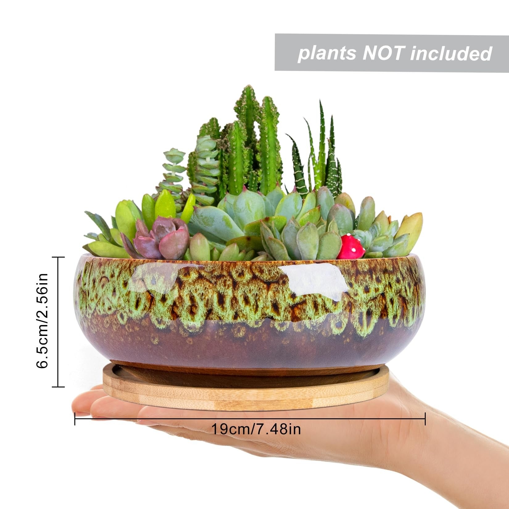 ARTKETTY Succulent Pots, 7.5 Inch Large Plant Pots with Bamboo Tray | Shallow Bonsai Pots with Drainage, Ceramic Planter for Indoor Plants, Cactus, Home Office Desk Decor