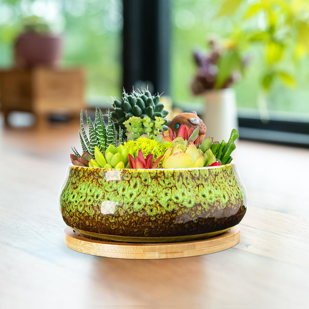 ARTKETTY Succulent Pots - 8 Inch Large Plant Pots, Shallow Planters | Ceramic Bonsai Pots with Drainage Tray, Round Cactus Flower Plant Container Bowl Decorative Home Garden
