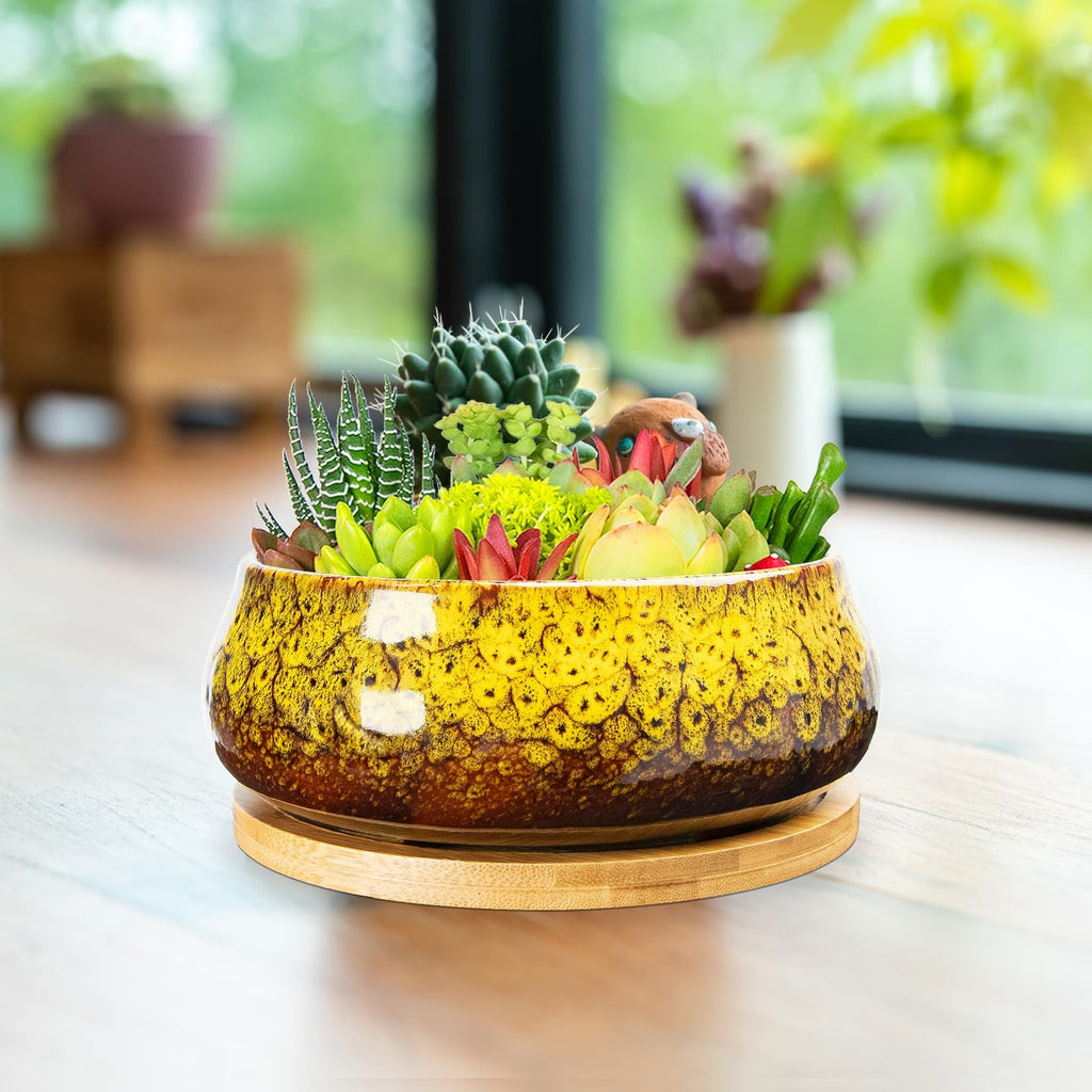 ARTKETTY Succulent Pots - 8 Inch Large Plant Pots, Shallow Planters | Ceramic Bonsai Pots with Drainage Tray, Round Cactus Flower Plant Container Bowl Decorative Home Garden