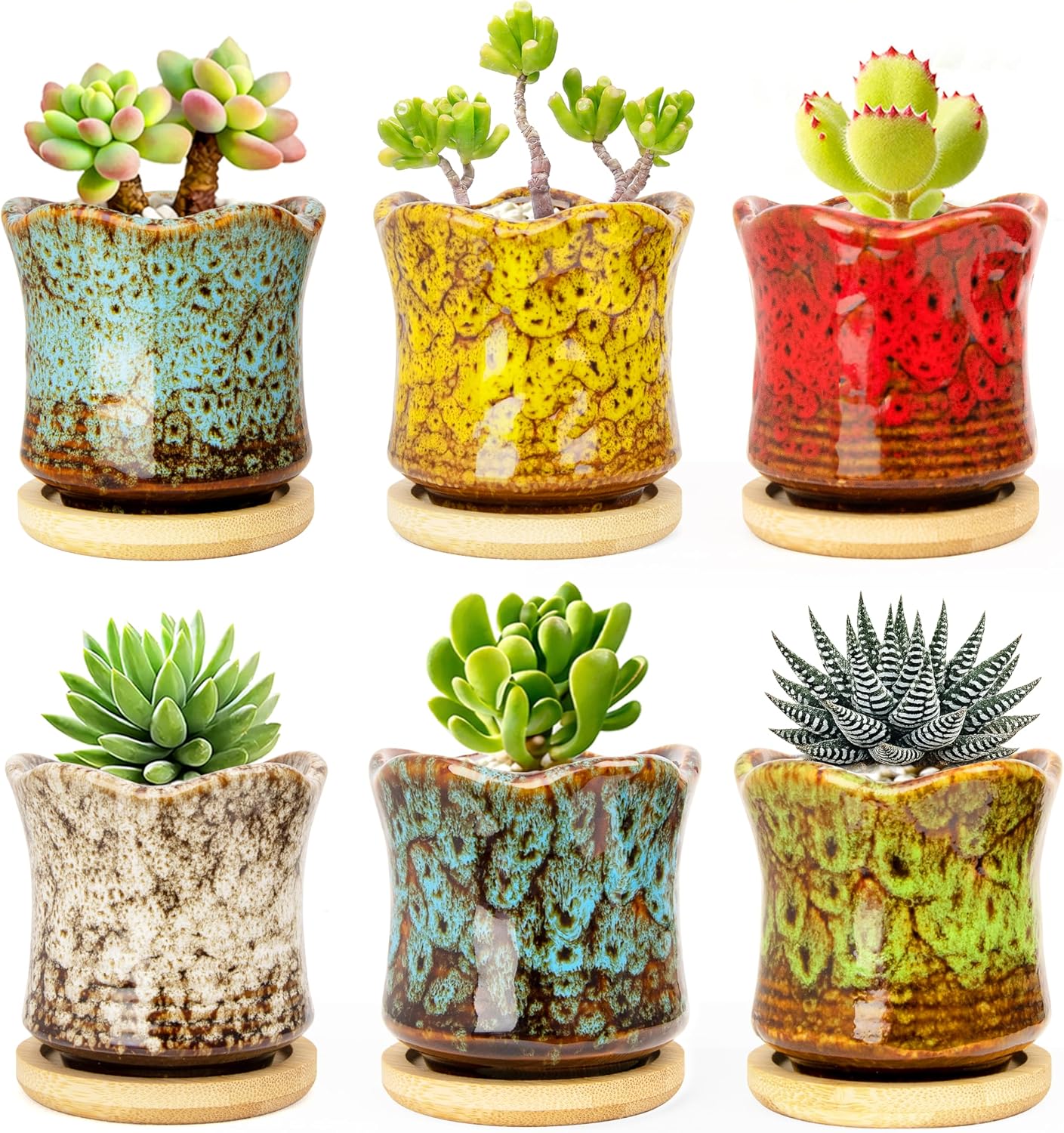 Succulent Pots with Drainage Tray, Cute Ceramic Pots for Plants Set of 6
