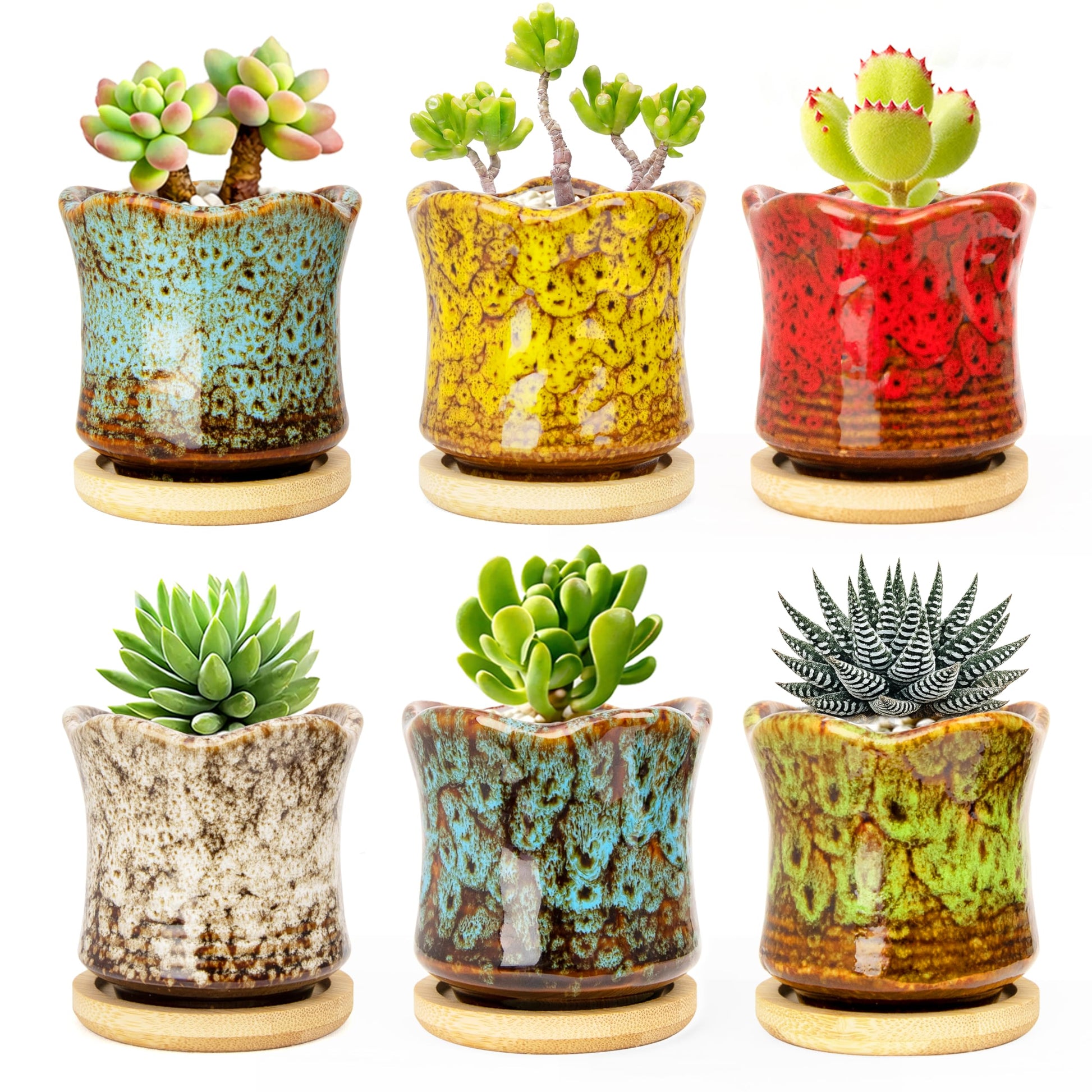 Succulent Pots with Drainage Tray, Cute Ceramic Pots for Plants Set of 6