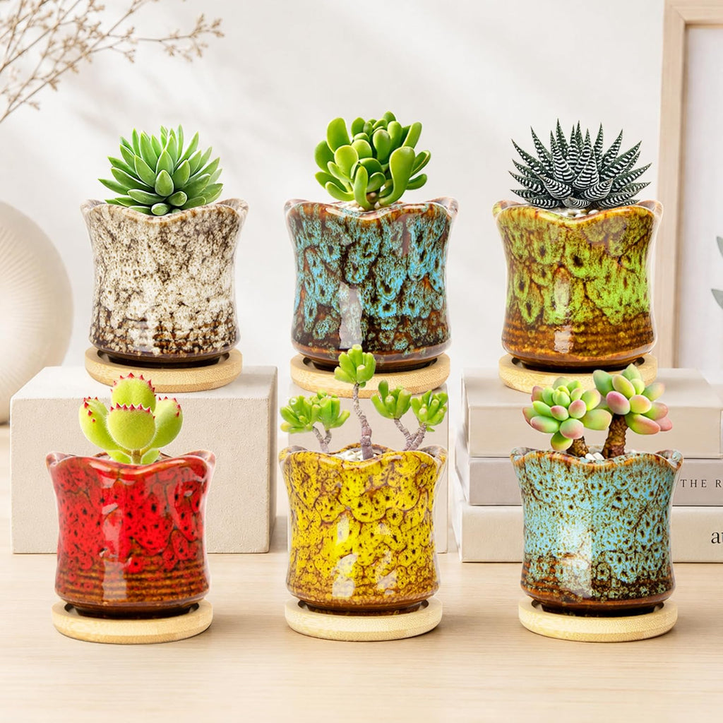Succulent Pots with Drainage Tray, Cute Ceramic Pots for Plants Set of 6