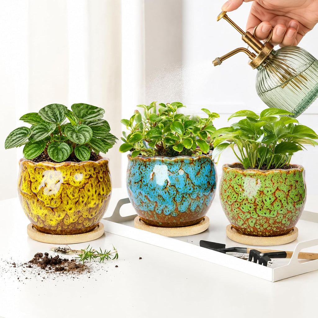 ARTKETTY Succulent Pots, 4 Pack Small Plant Pots with Drainage Tray | 4 Inch Flower Pots, Ceramic Planters for Indoor, Home Office Desk Decor