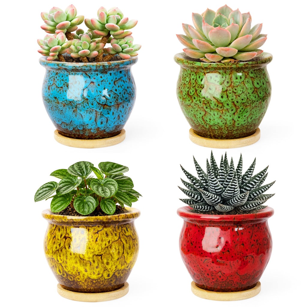 ARTKETTY Succulent Pots, 4 Pack Small Plant Pots with Drainage Tray | 4 Inch Flower Pots, Ceramic Planters for Indoor, Home Office Desk Decor