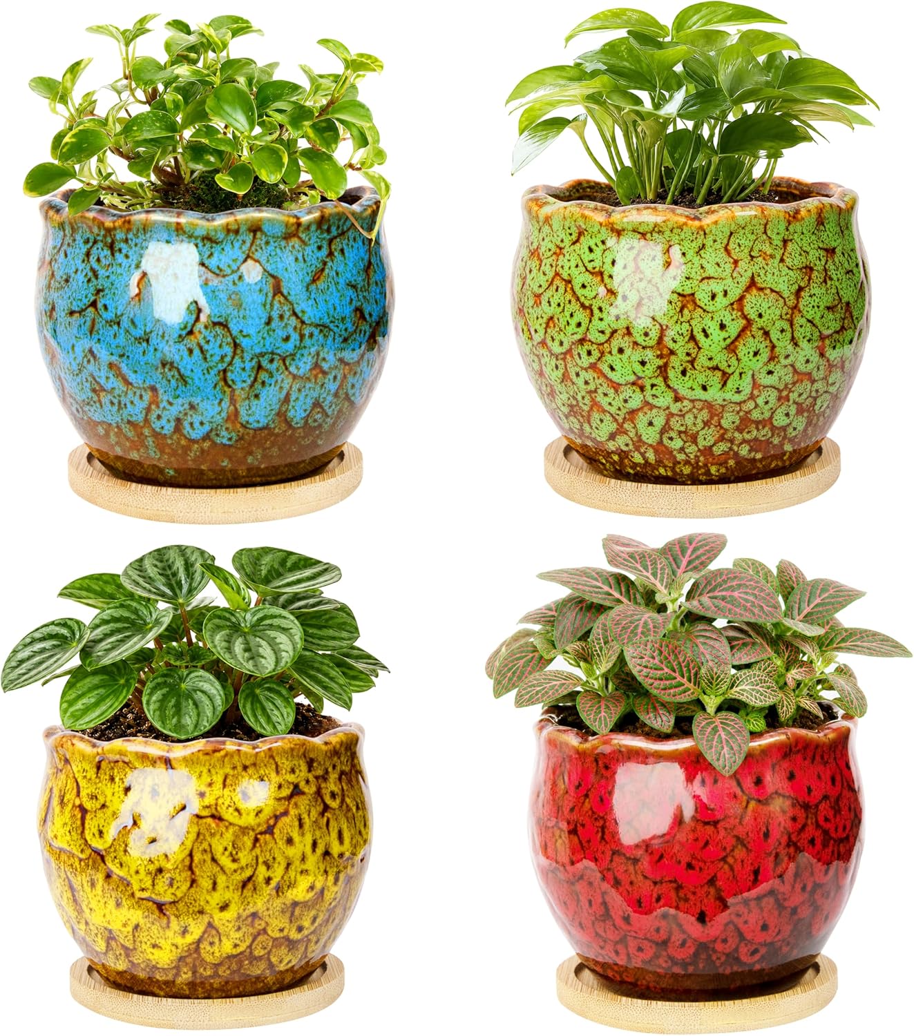ARTKETTY Succulent Pots, 4 Pack Small Plant Pots with Drainage Tray | 4 Inch Flower Pots, Ceramic Planters for Indoor, Home Office Desk Decor
