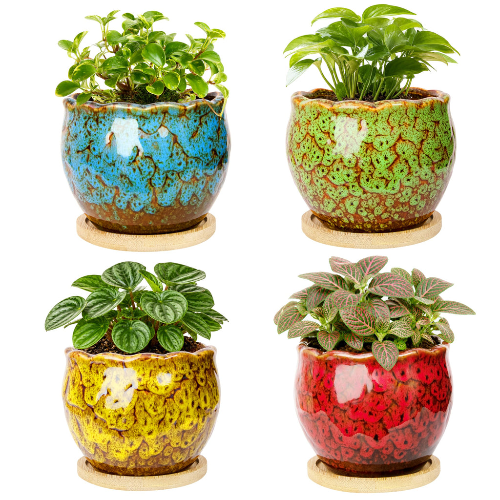 ARTKETTY Succulent Pots, 4 Pack Small Plant Pots with Drainage Tray | 4 Inch Flower Pots, Ceramic Planters for Indoor, Home Office Desk Decor