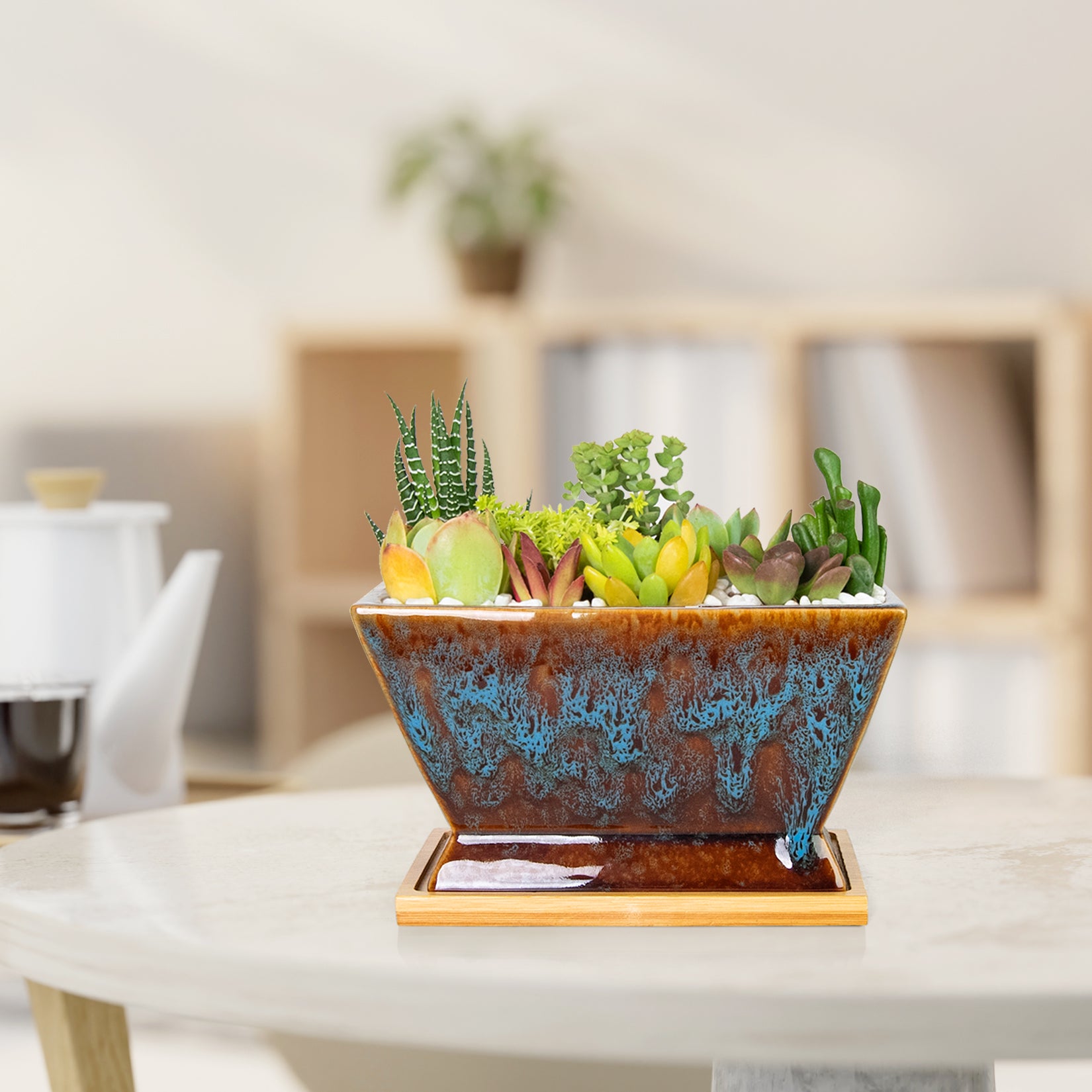 ARTKETTY Succulent Pots - 7 Inch Large Plant Pots with Drainage Tray | Shallow Ceramic Pots for Indoor Plants, Modern Cactus Bonsai Plant Container Decorative Home Office