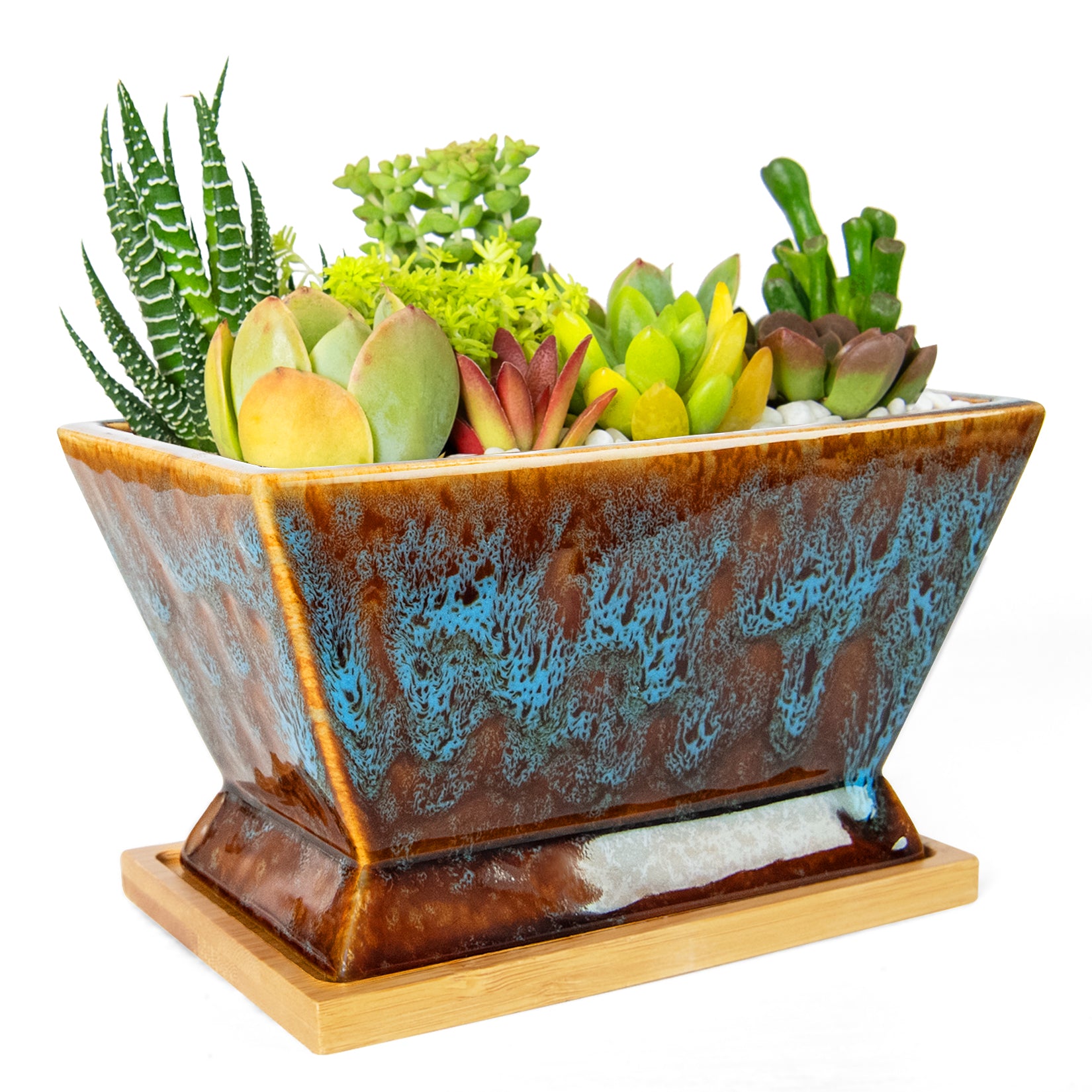ARTKETTY Succulent Pots - 7 Inch Large Plant Pots with Drainage Tray | Shallow Ceramic Pots for Indoor Plants, Modern Cactus Bonsai Plant Container Decorative Home Office