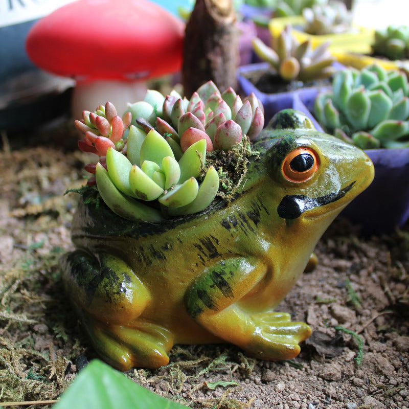 Cute Frog Succulent Planter – Ceramic Animal Shaped Pot for Mini Plants & Home Garden Decor