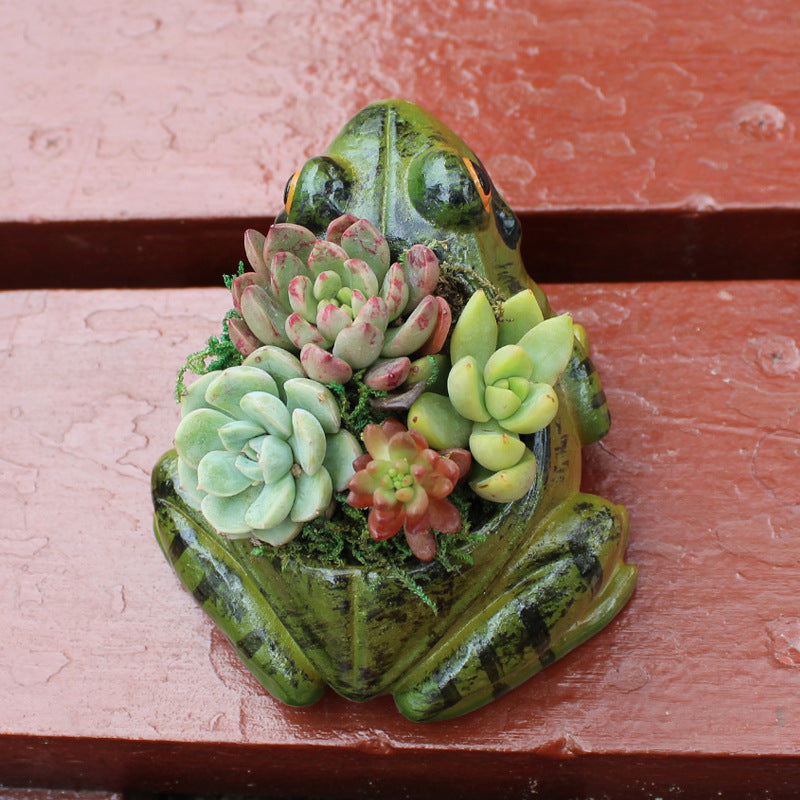Cute Frog Succulent Planter – Ceramic Animal Shaped Pot for Mini Plants & Home Garden Decor