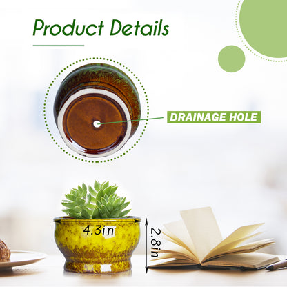 Cute 4.3 Inch Succulent Planter Pot Modern Ceramic Cactus Glaze Flowers Pots with Drainage