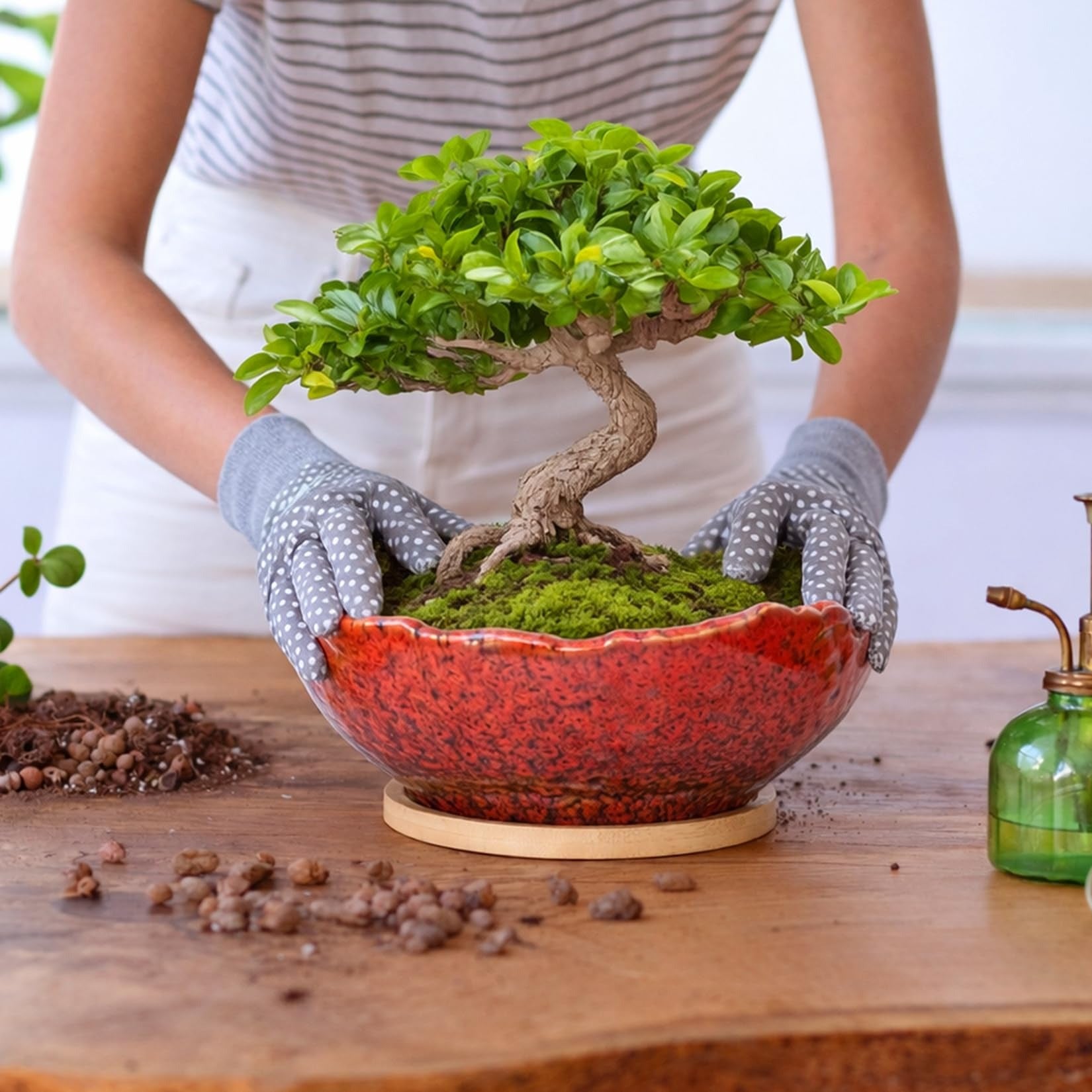 ARTKETTY Bonsai Pots - 9.06 Inch Large Plant Pots, Unique Succulent Pots with Drainage Tray, Ceramic Planters for Indoor Cactus Flower Plants Round Bonsai Tree Pots Decorative Home Office