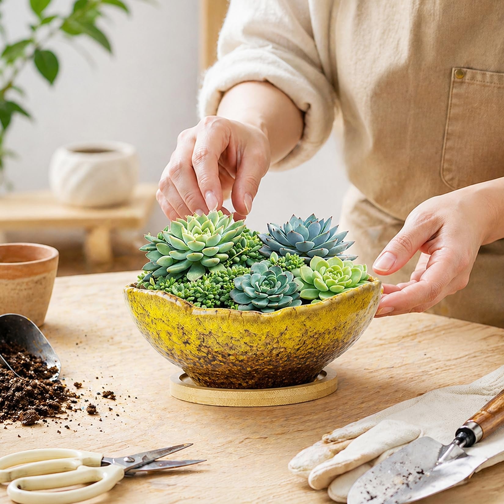 ARTKETTY Bonsai Pots - 9.06 Inch Large Plant Pots, Unique Succulent Pots with Drainage Tray, Ceramic Planters for Indoor Cactus Flower Plants Round Bonsai Tree Pots Decorative Home Office
