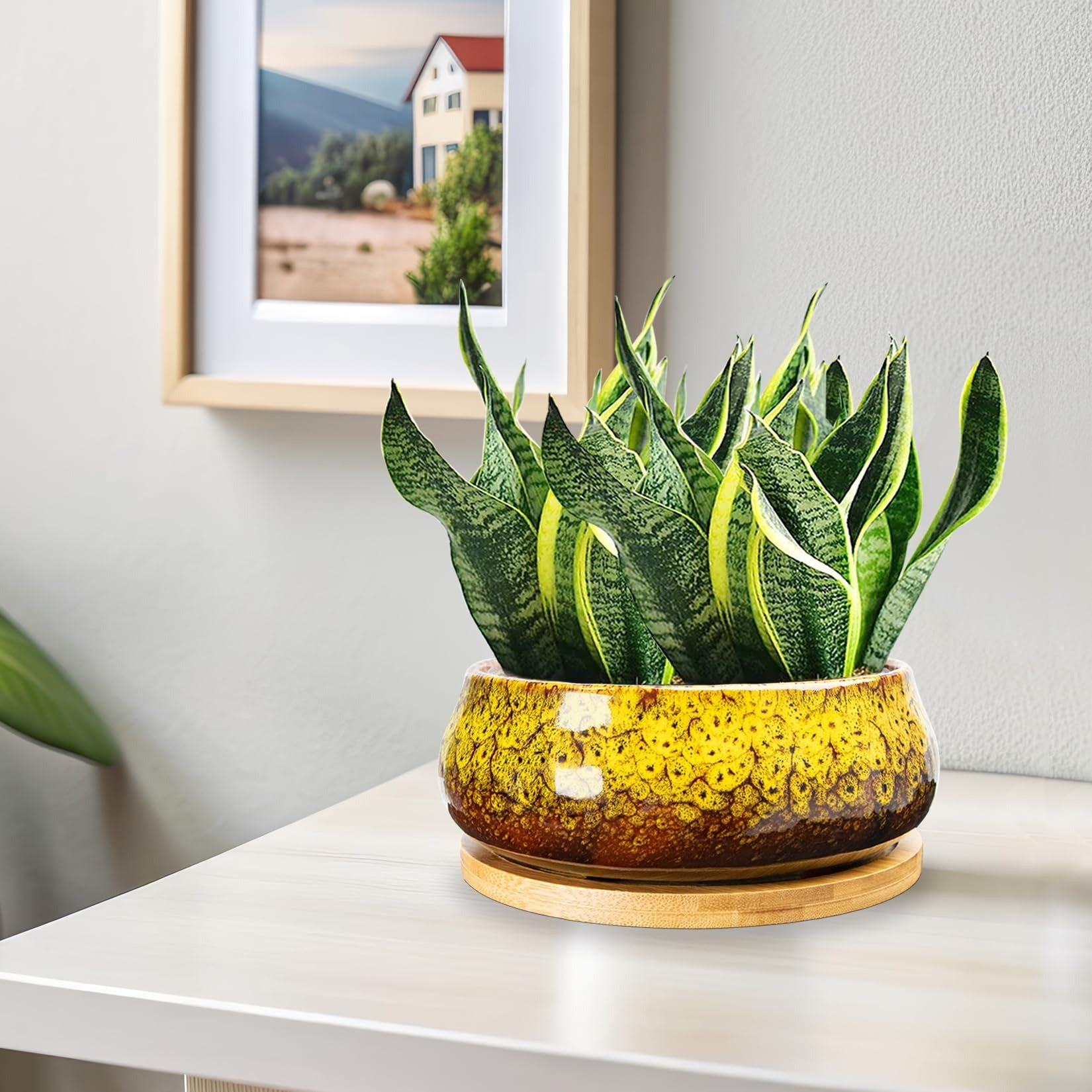 ARTKETTY Succulent Pots - 8 Inch Large Plant Pots, Shallow Planters | Ceramic Bonsai Pots with Drainage Tray, Round Cactus Flower Plant Container Bowl Decorative Home Garden