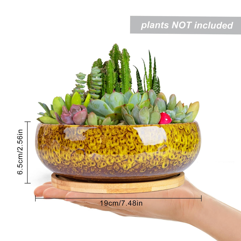 ARTKETTY Succulent Pots, 7.5 Inch Large Plant Pots with Bamboo Tray | Shallow Bonsai Pots with Drainage, Ceramic Planter for Indoor Plants, Cactus, Home Office Desk Decor