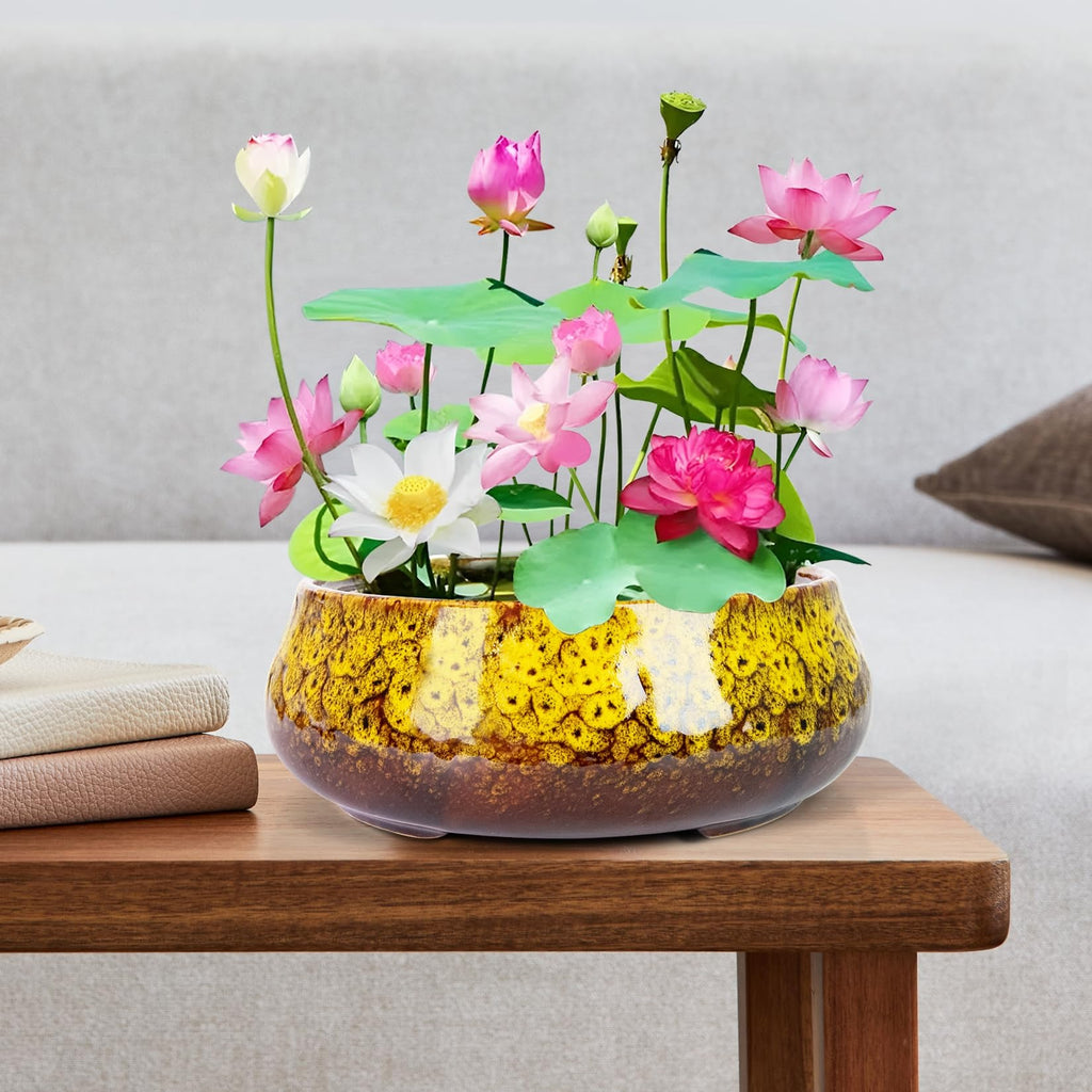 Lotus Bowl Planter - 8 Inch Large Lotus Flower Bowl for Water Plants, Ceramic Hydroponic Planter Water Lily Bowl for Planting Aquatic and Indoor Succulent Plants and Bonsai