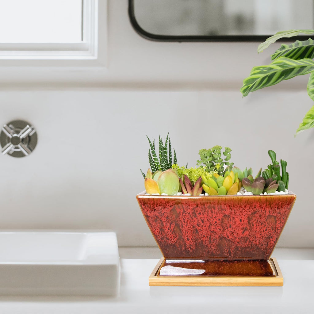 ARTKETTY Succulent Pots - 7 Inch Large Plant Pots with Drainage Tray | Shallow Ceramic Pots for Indoor Plants, Modern Cactus Bonsai Plant Container Decorative Home Office