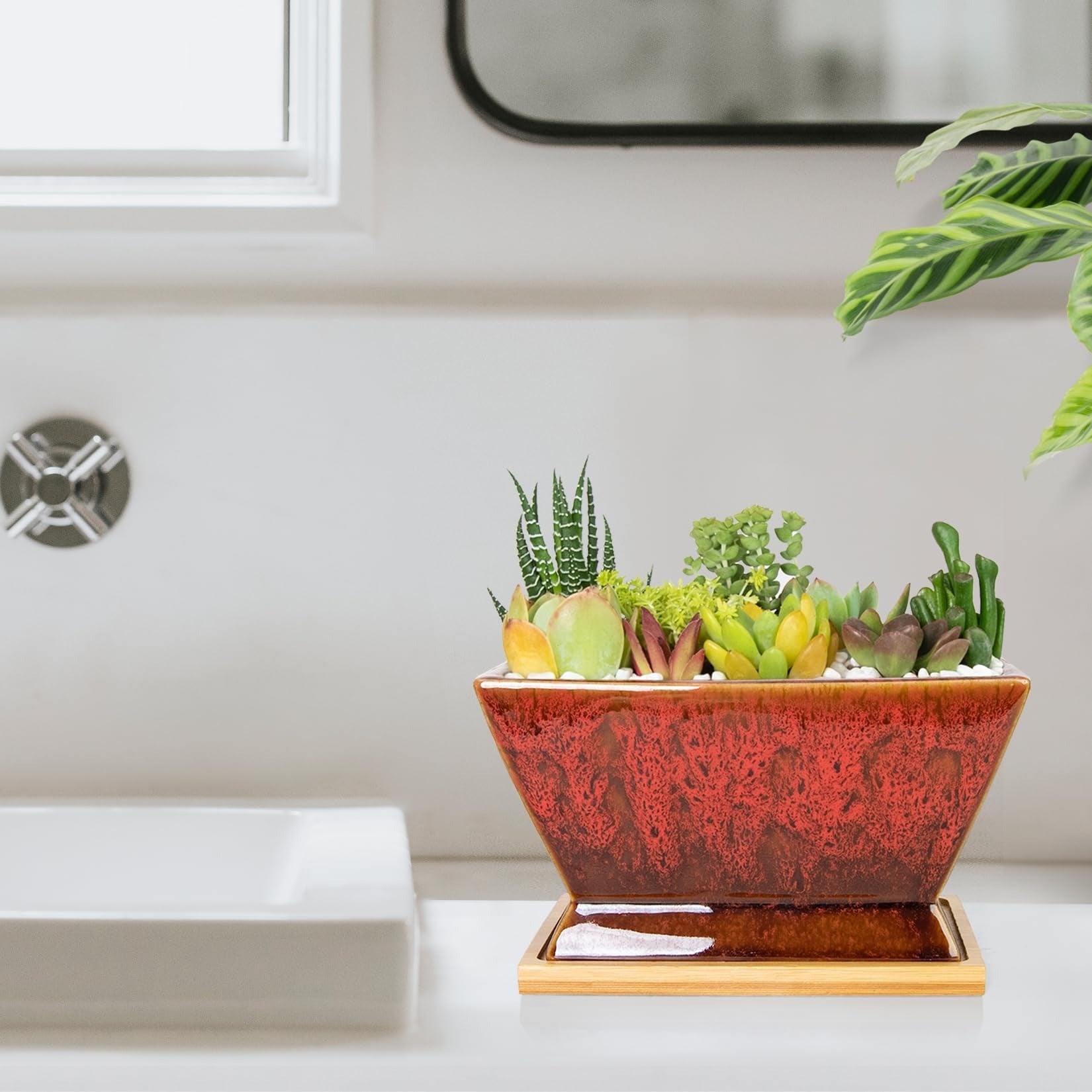 ARTKETTY Succulent Pots - 7 Inch Large Plant Pots with Drainage Tray | Shallow Ceramic Pots for Indoor Plants, Modern Cactus Bonsai Plant Container Decorative Home Office