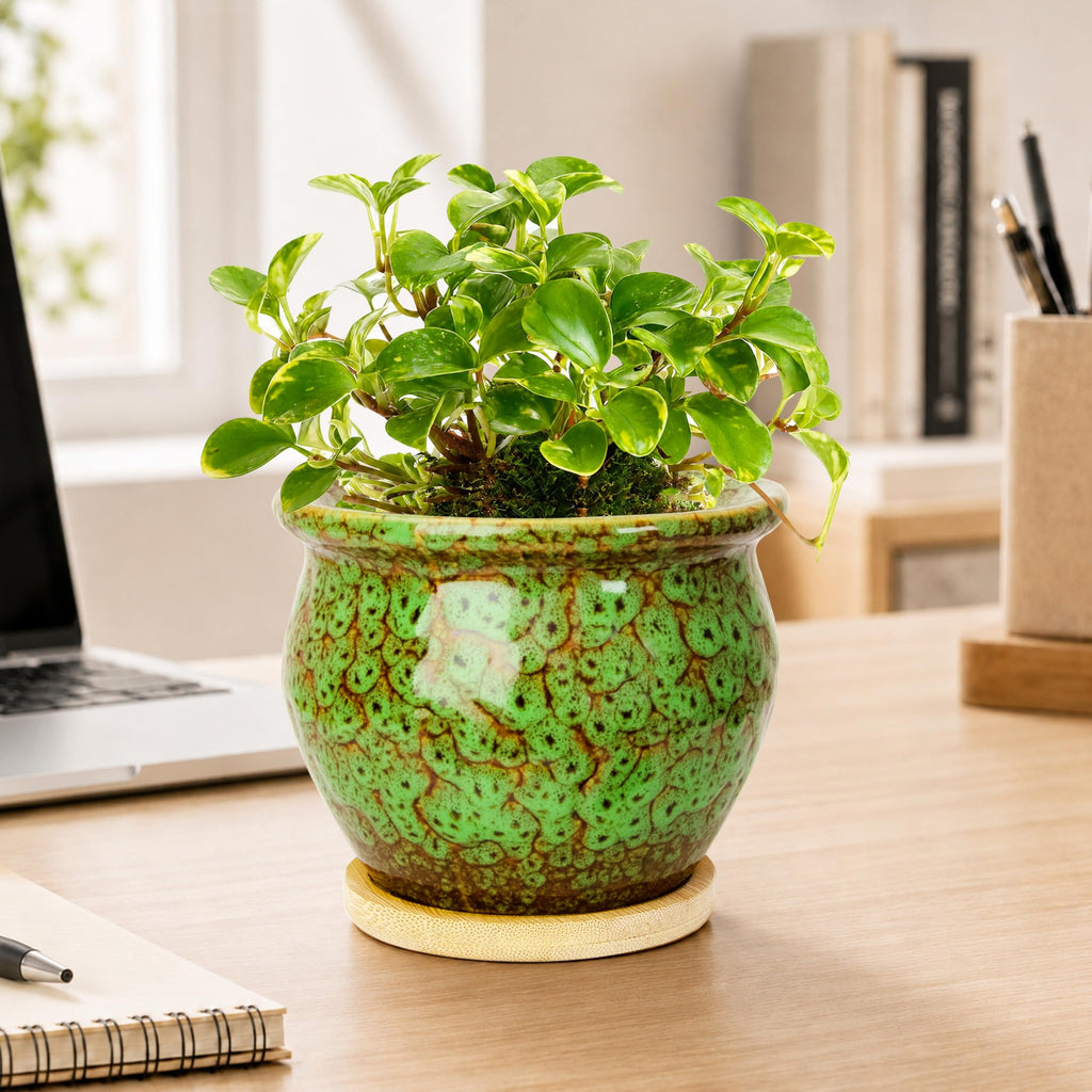 ARTKETTY 4.5 Inch Plant Pots, Small Pots for Plant Indoor, Ceramic Planter with Tray