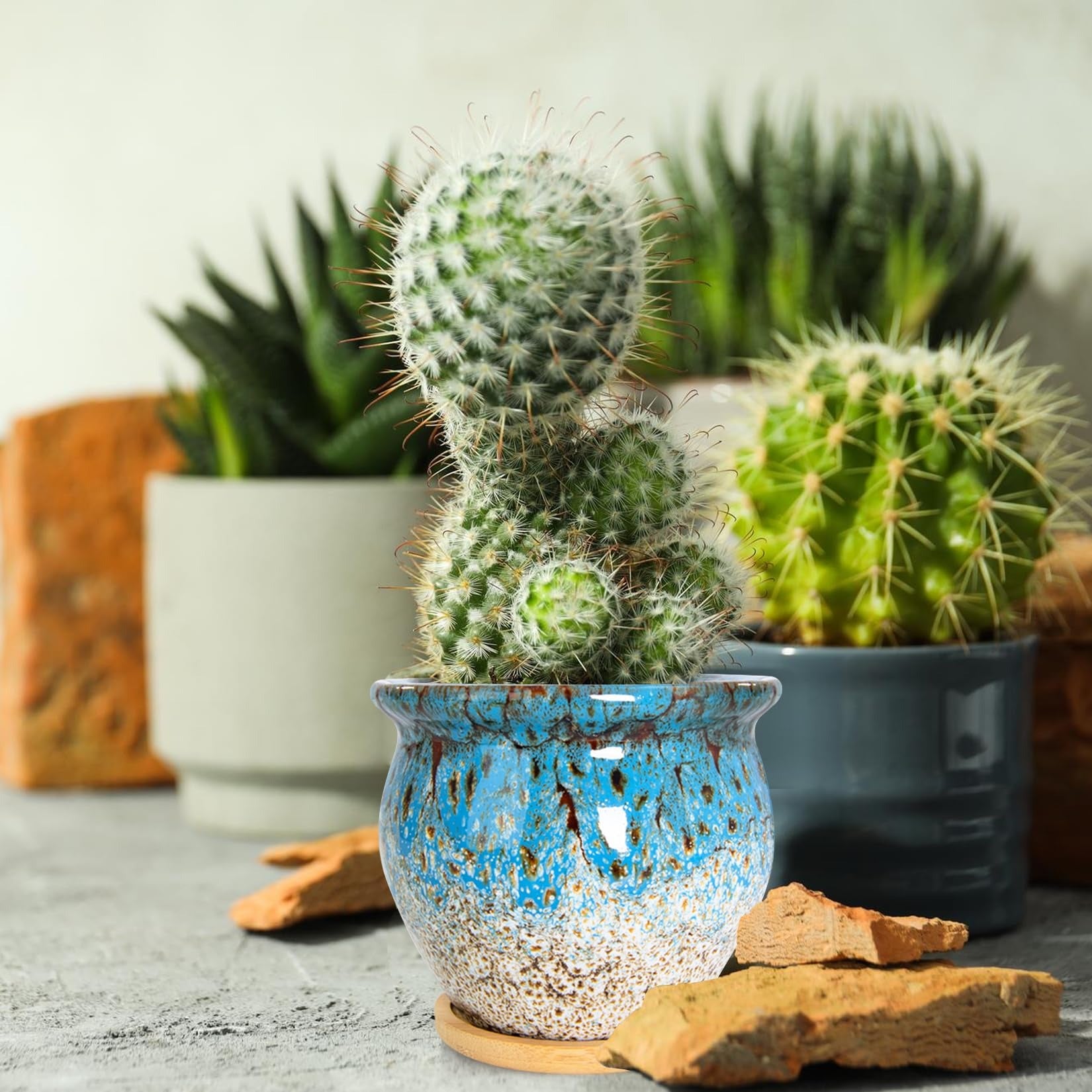 ARTKETTY Succulent Pots, 4 Pack Small Plant Pots with Drainage Tray | 4 Inch Flower Pots, Ceramic Planters for Indoor, Home Office Desk Decor
