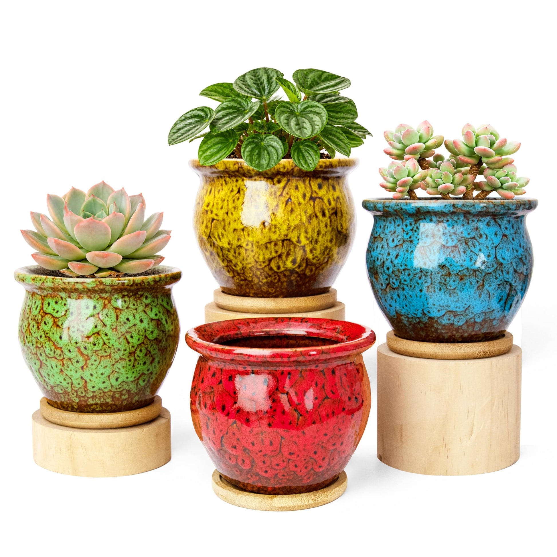 ARTKETTY Succulent Pots, 4 Pack Small Plant Pots with Drainage Tray | 4 Inch Flower Pots, Ceramic Planters for Indoor, Home Office Desk Decor