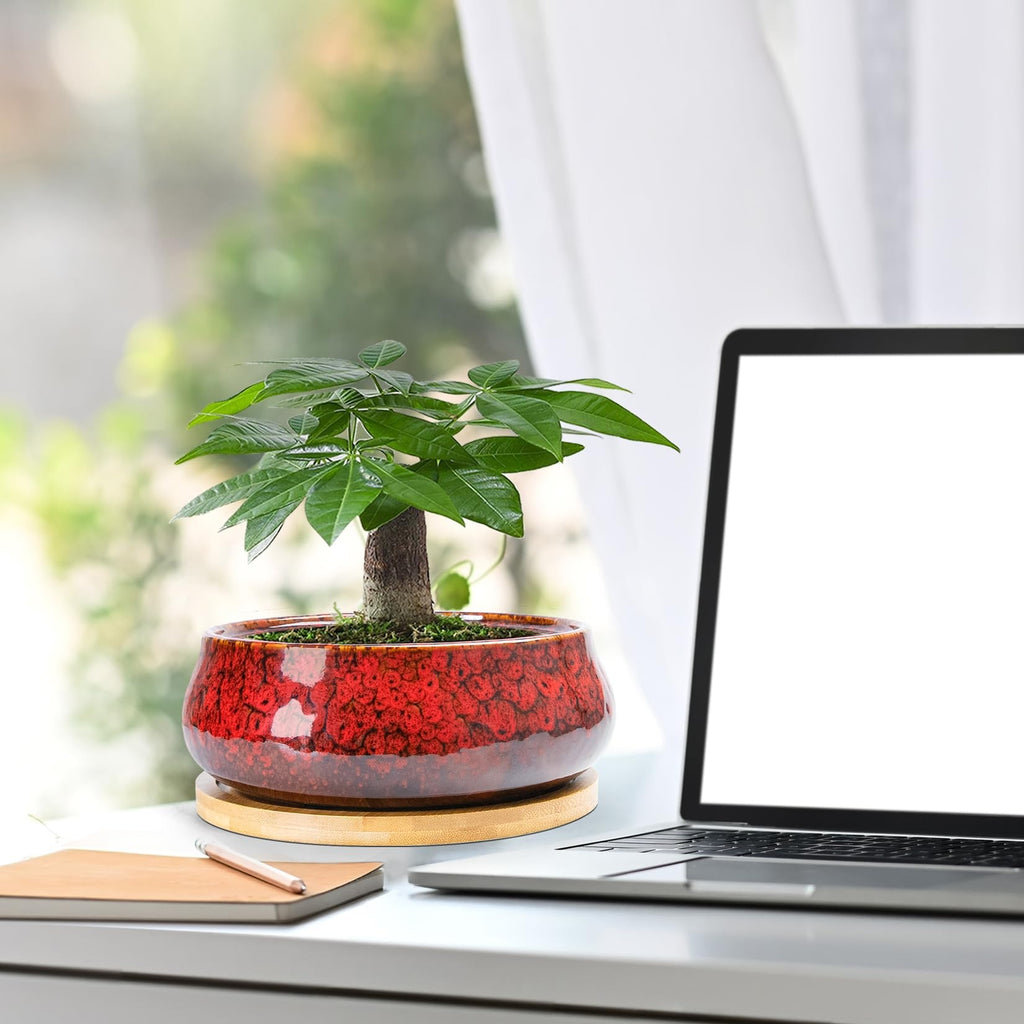 ARTKETTY Succulent Pots - 8 Inch Large Plant Pots, Shallow Planters | Ceramic Bonsai Pots with Drainage Tray, Round Cactus Flower Plant Container Bowl Decorative Home Garden