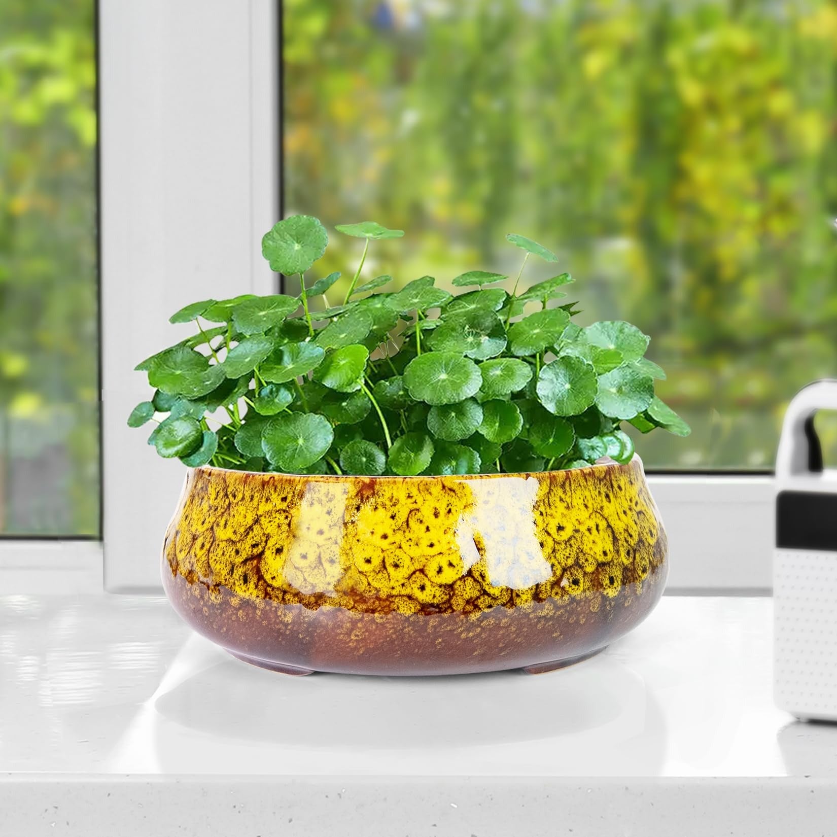 Lotus Bowl Planter - 8 Inch Large Lotus Flower Bowl for Water Plants, Ceramic Hydroponic Planter Water Lily Bowl for Planting Aquatic and Indoor Succulent Plants and Bonsai