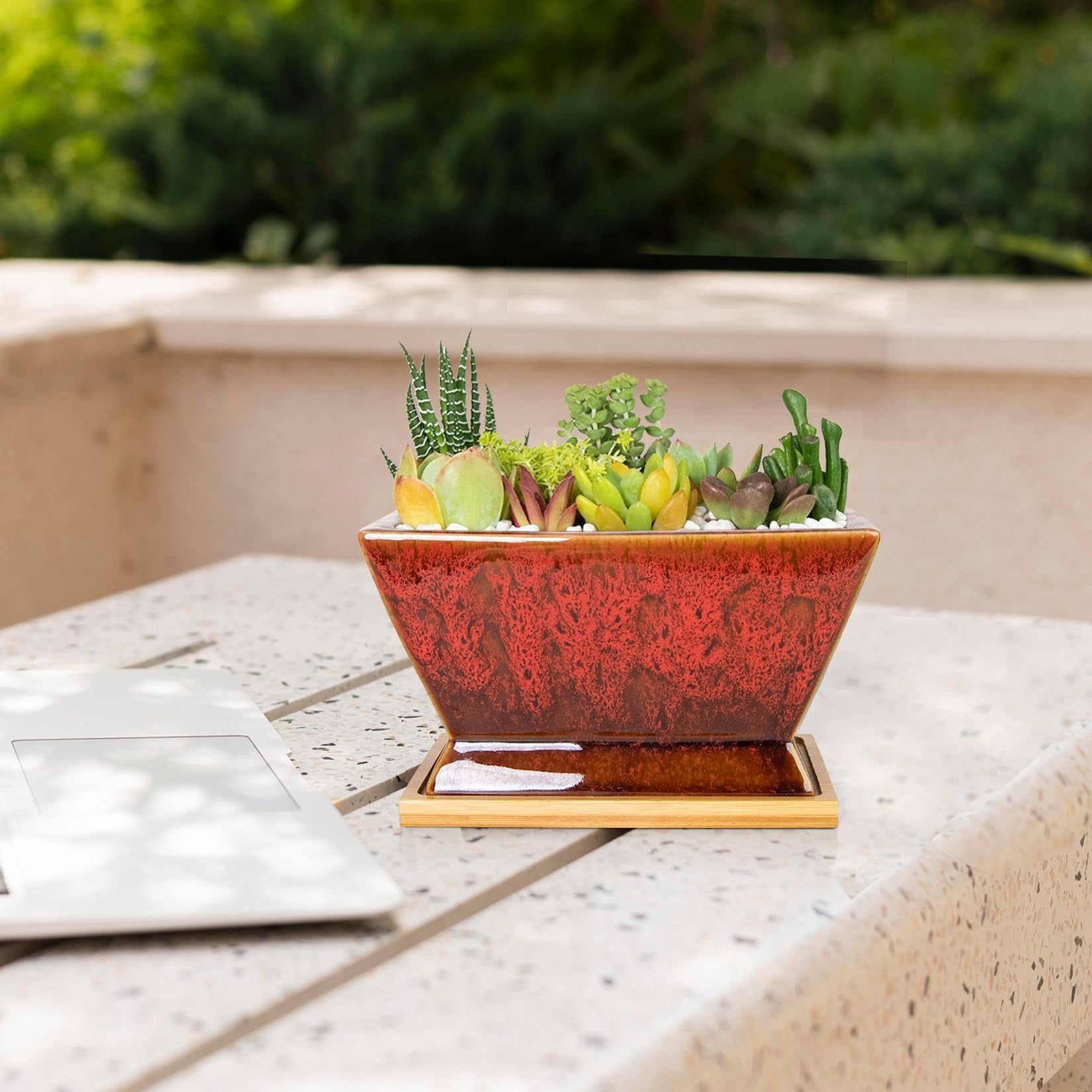 ARTKETTY Succulent Pots - 7 Inch Large Plant Pots with Drainage Tray | Shallow Ceramic Pots for Indoor Plants, Modern Cactus Bonsai Plant Container Decorative Home Office