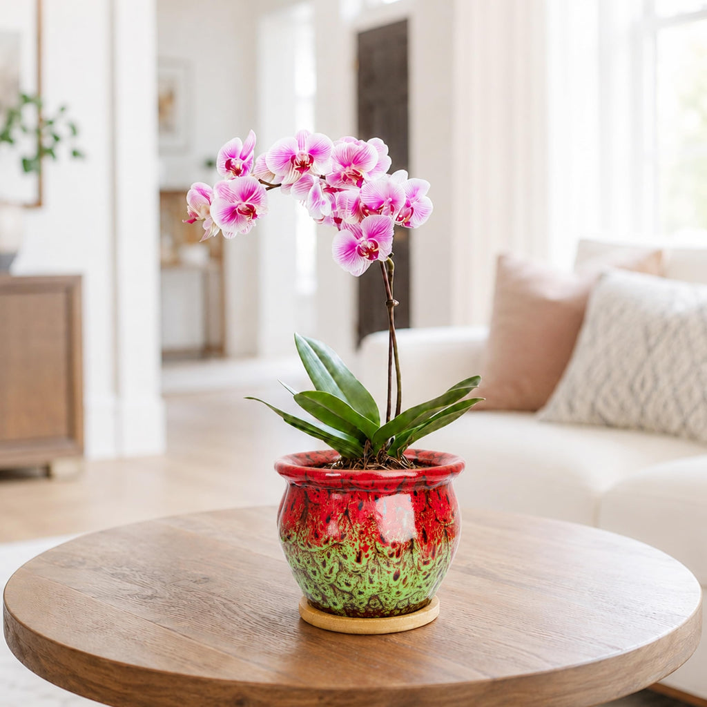 ARTKETTY 4.5 Inch Plant Pots, Small Pots for Plant Indoor, Ceramic Planter with Tray