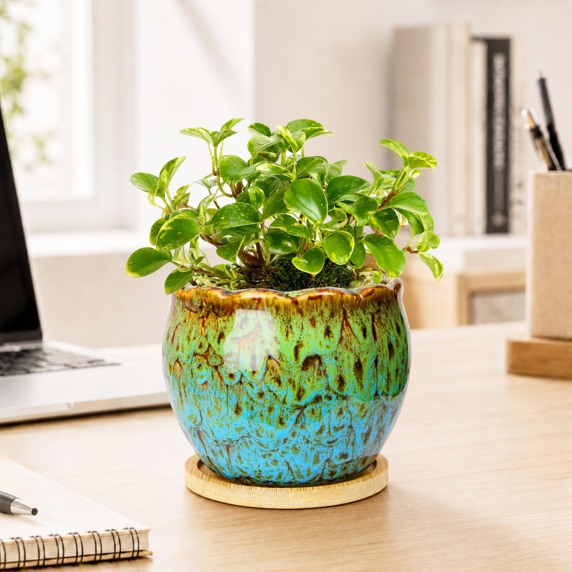 ARTKETTY Succulent Pots, 4 Pack Small Plant Pots with Drainage Tray | 4 Inch Flower Pots, Ceramic Planters for Indoor, Home Office Desk Decor
