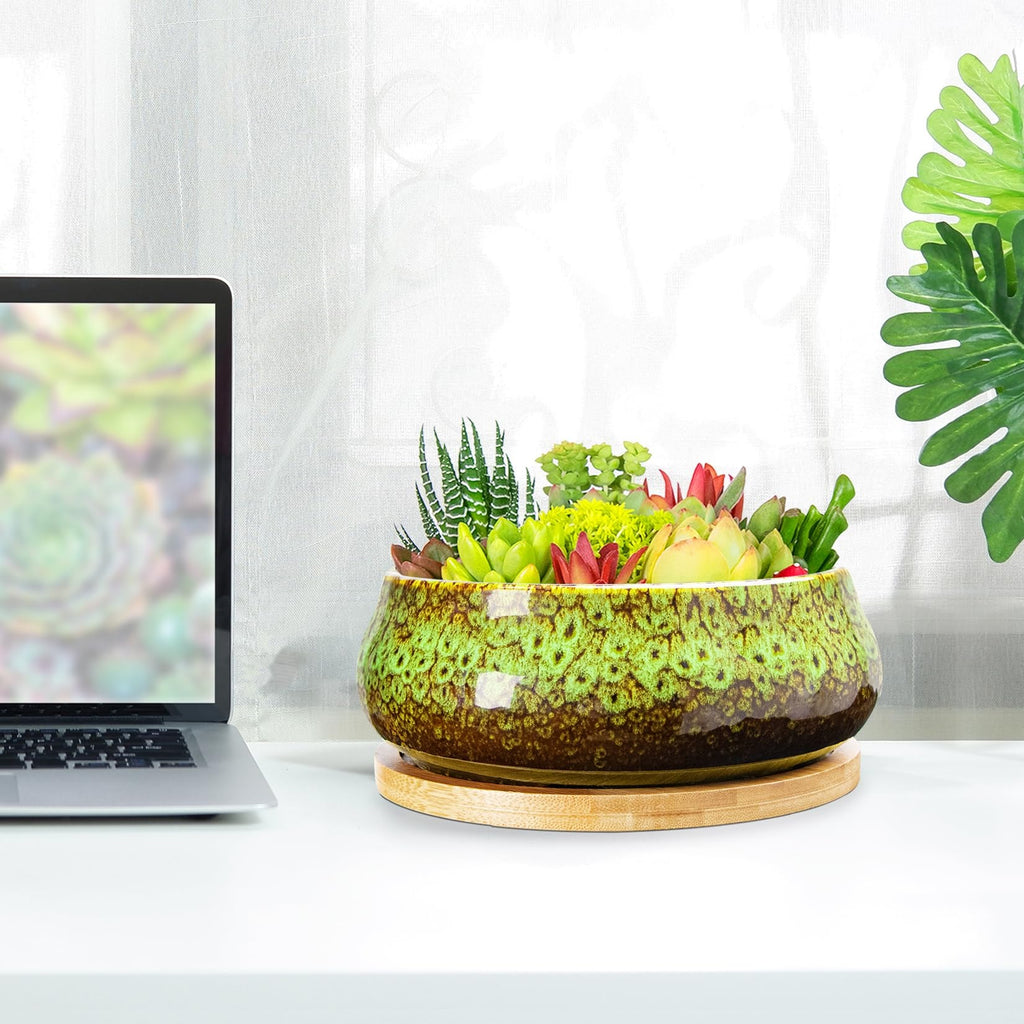 ARTKETTY Succulent Pots - 8 Inch Large Plant Pots, Shallow Planters | Ceramic Bonsai Pots with Drainage Tray, Round Cactus Flower Plant Container Bowl Decorative Home Garden