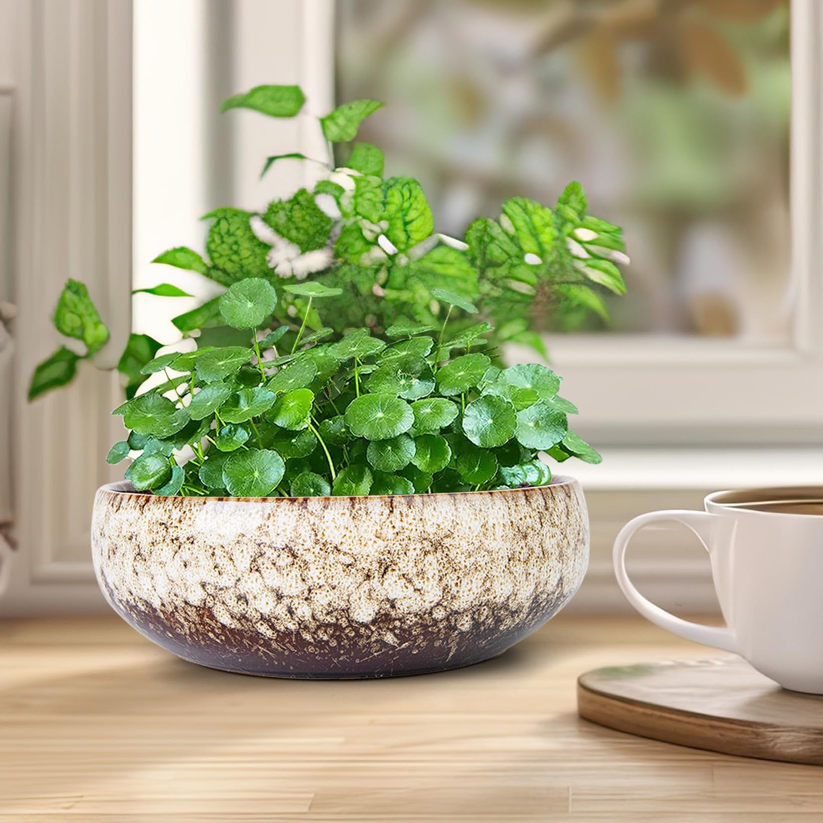 ARTKETTY Lotus Bowl Planter - 8 Inch Large Lotus Flower Bowl for Water Plants, Ceramic Bonsai Bowl for Hydroponic Plant Succulent Plants Indoors Outdoor