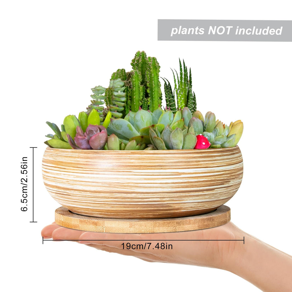 ARTKETTY Succulent Pots, 7.5 Inch Large Plant Pots with Bamboo Tray | Shallow Bonsai Pots with Drainage, Ceramic Planter for Indoor Plants, Cactus, Home Office Desk Decor