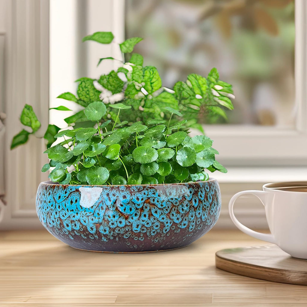 ARTKETTY Lotus Bowl Planter - 8 Inch Large Lotus Flower Bowl for Water Plants, Ceramic Bonsai Bowl for Hydroponic Plant Succulent Plants Indoors Outdoor