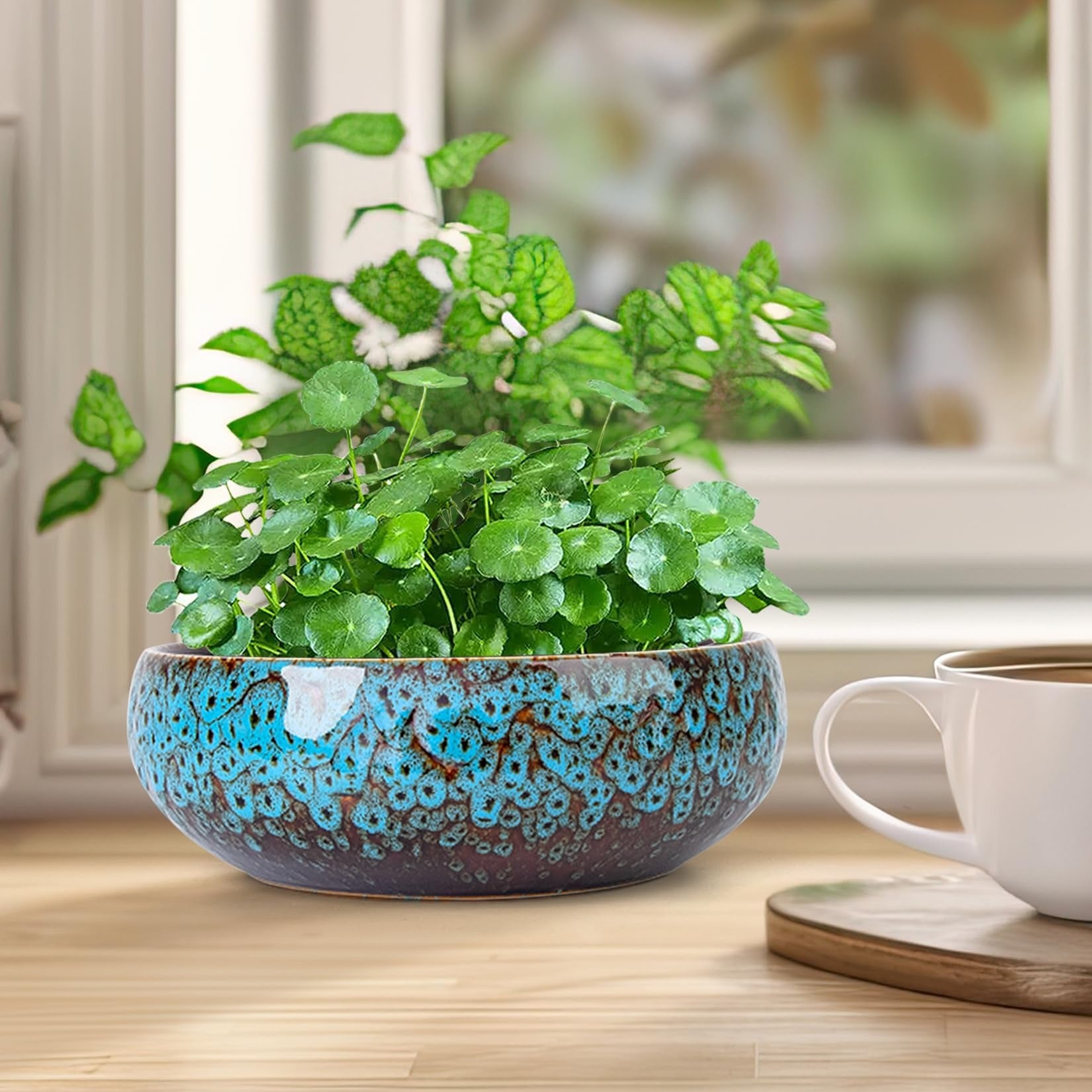 ARTKETTY Lotus Bowl Planter - 8 Inch Large Lotus Flower Bowl for Water Plants, Ceramic Bonsai Bowl for Hydroponic Plant Succulent Plants Indoors Outdoor